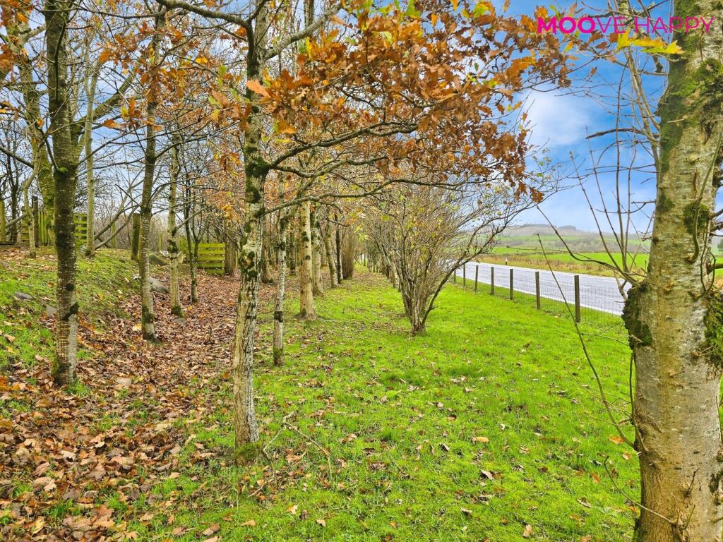Woodland