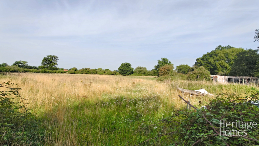 IMG20250813101456-fotor-2025081414825