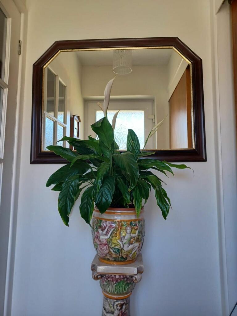 Feature Hallway
