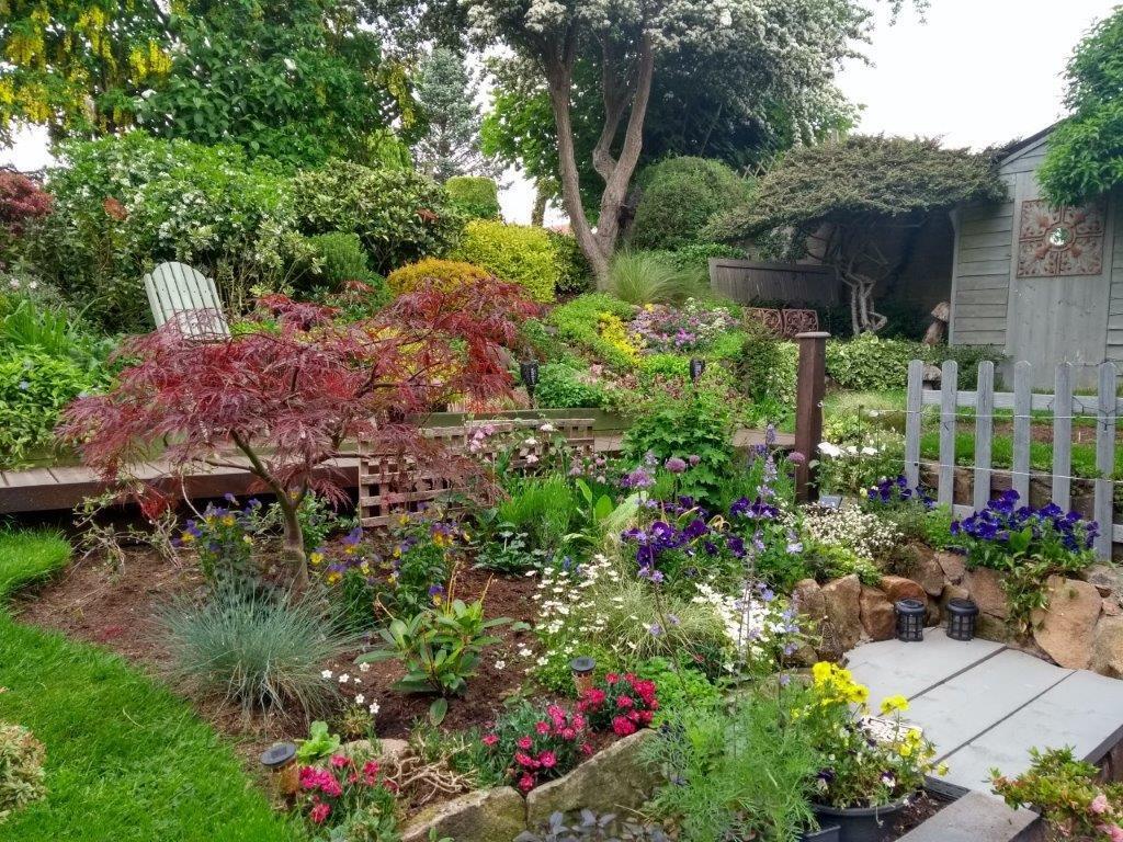 garden summer.jpg