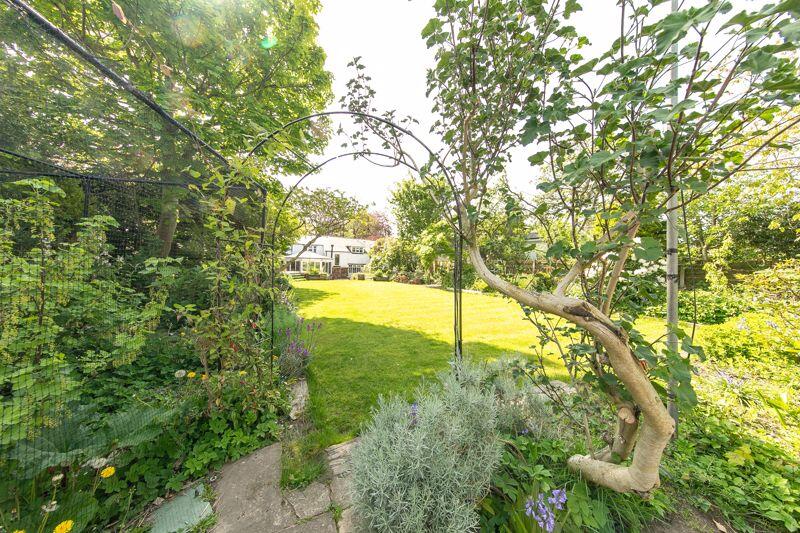 STUNNING private garden