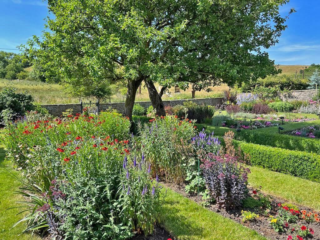 Front garden