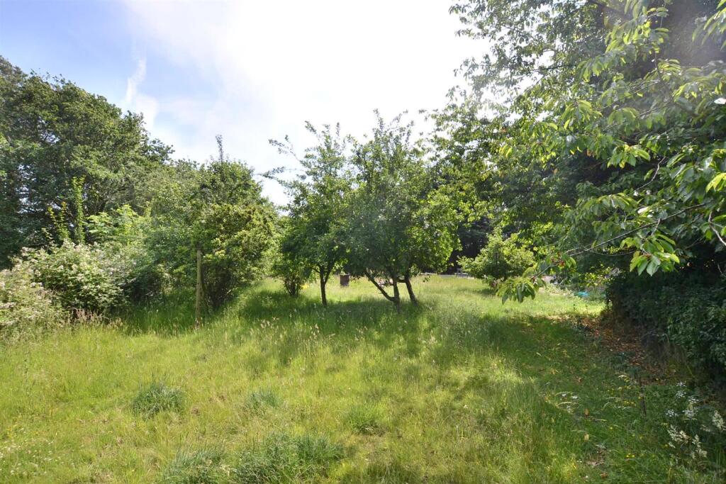 Orchard