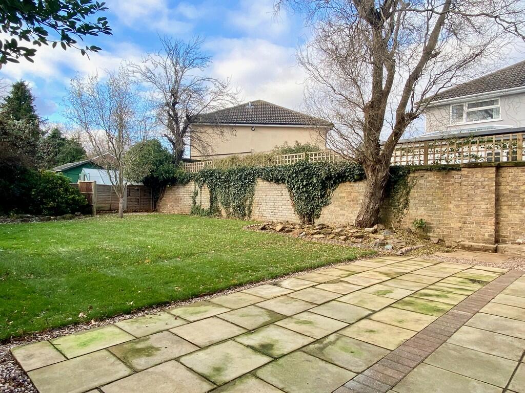 Patio With Lawn