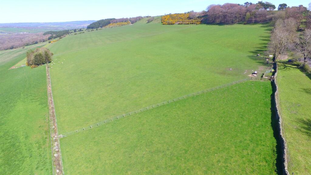 DJI_0497.JPG
