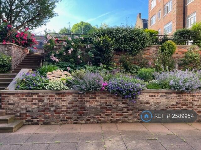 Attractive Mature Garden