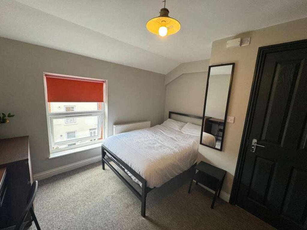 97161836.jpg