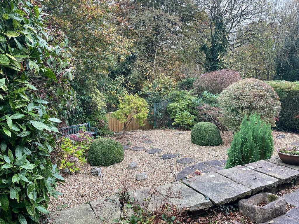 Rear Garden in Su...