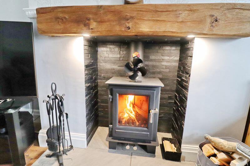 Log Burning Stove