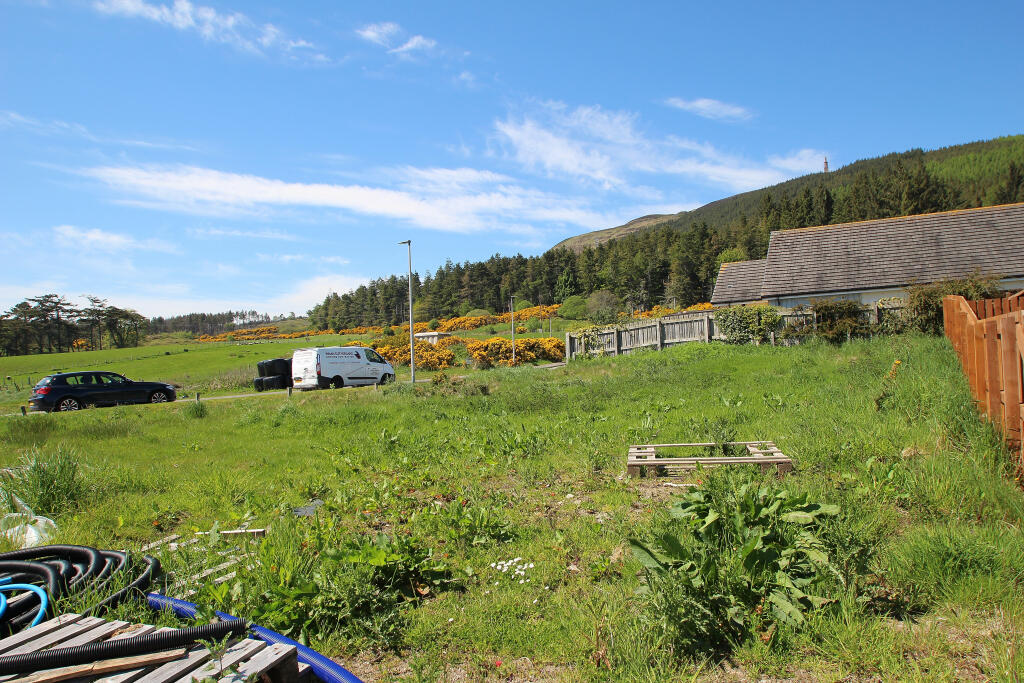 plot 1