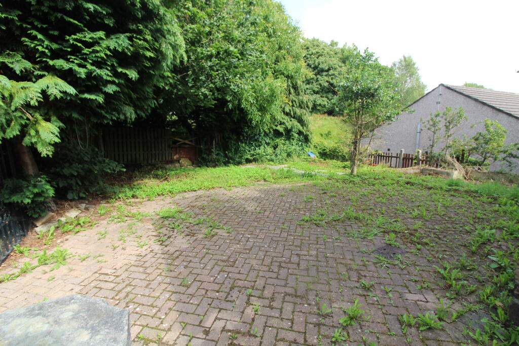 Garden 1 T202507251439.jpg