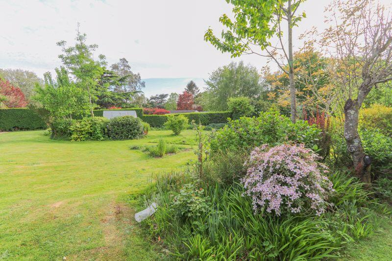 Rear Garden picture 3