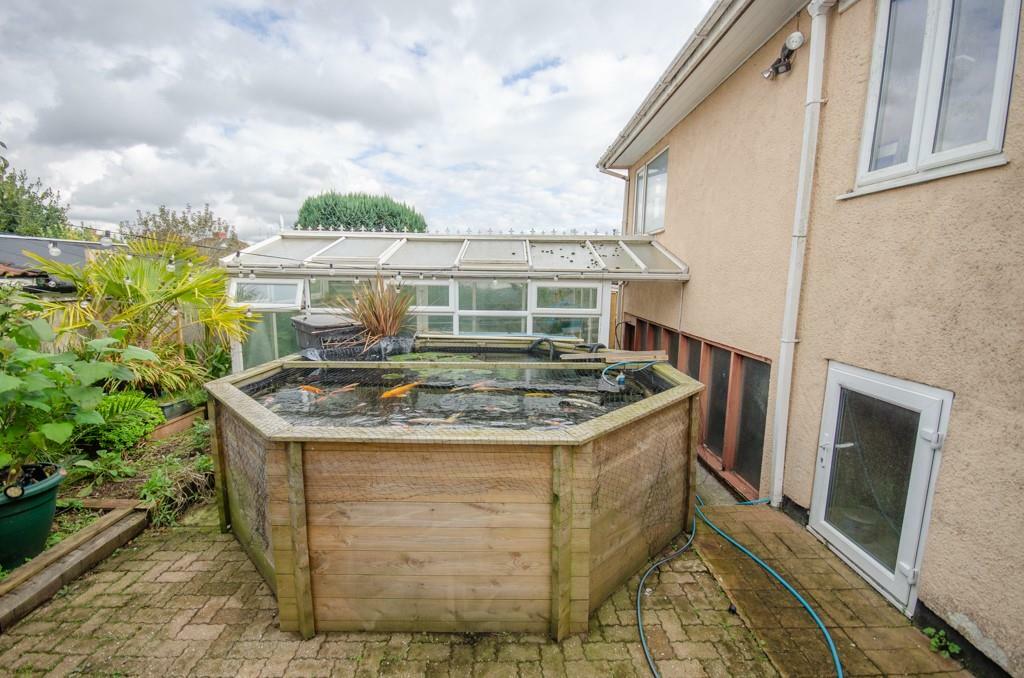 Fish pond.jpg