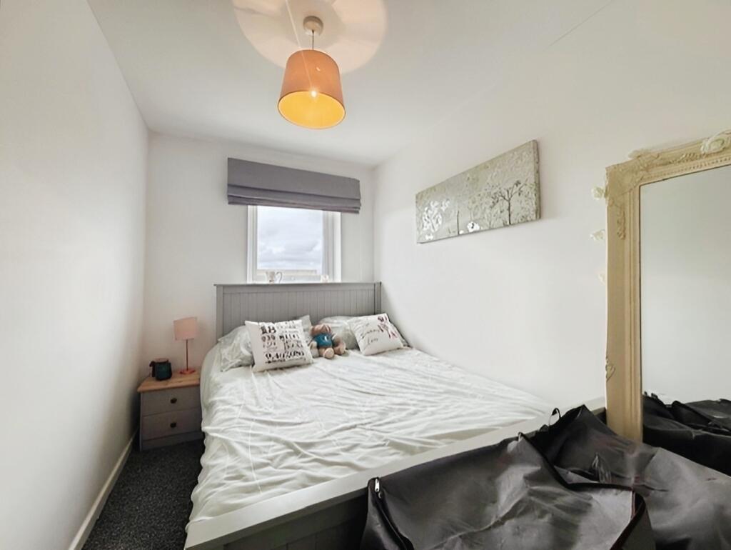 b472e323-ann 207.jpeg