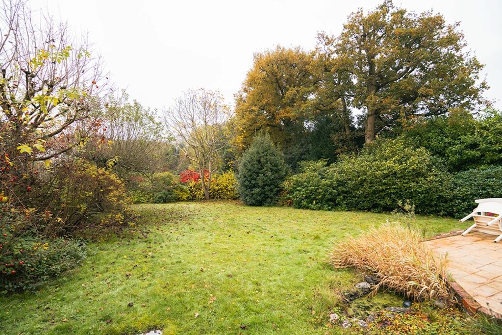 Back Garden