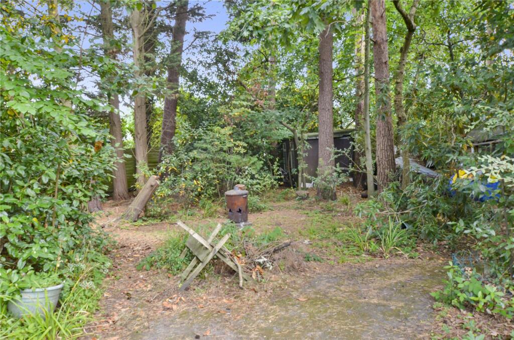 Wooded Area
