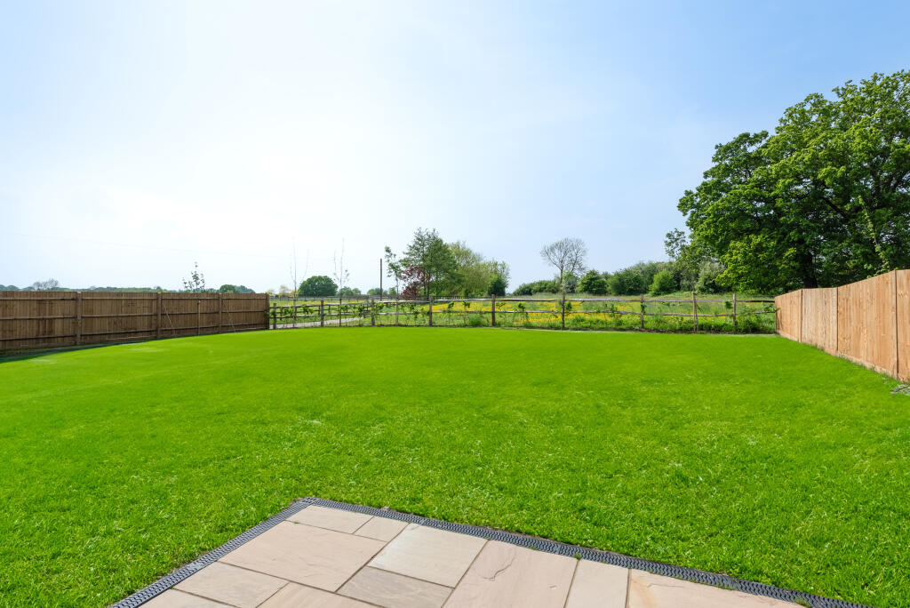 Fern plot 1 gdn
