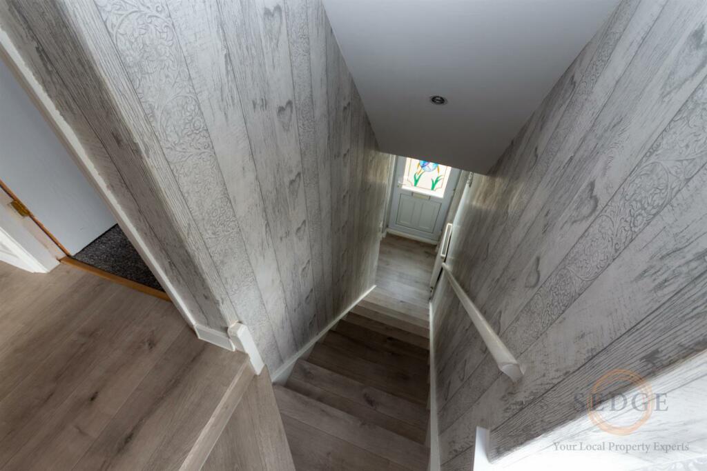 3 coranin-05.jpg