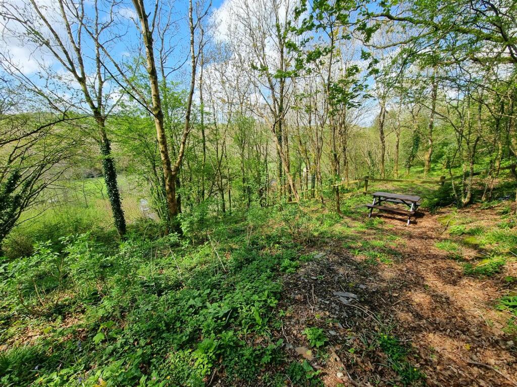 Copse 1