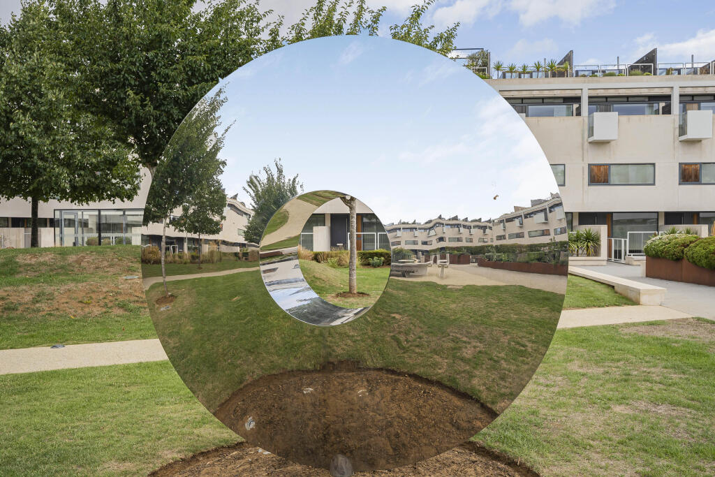 Communal Grounds