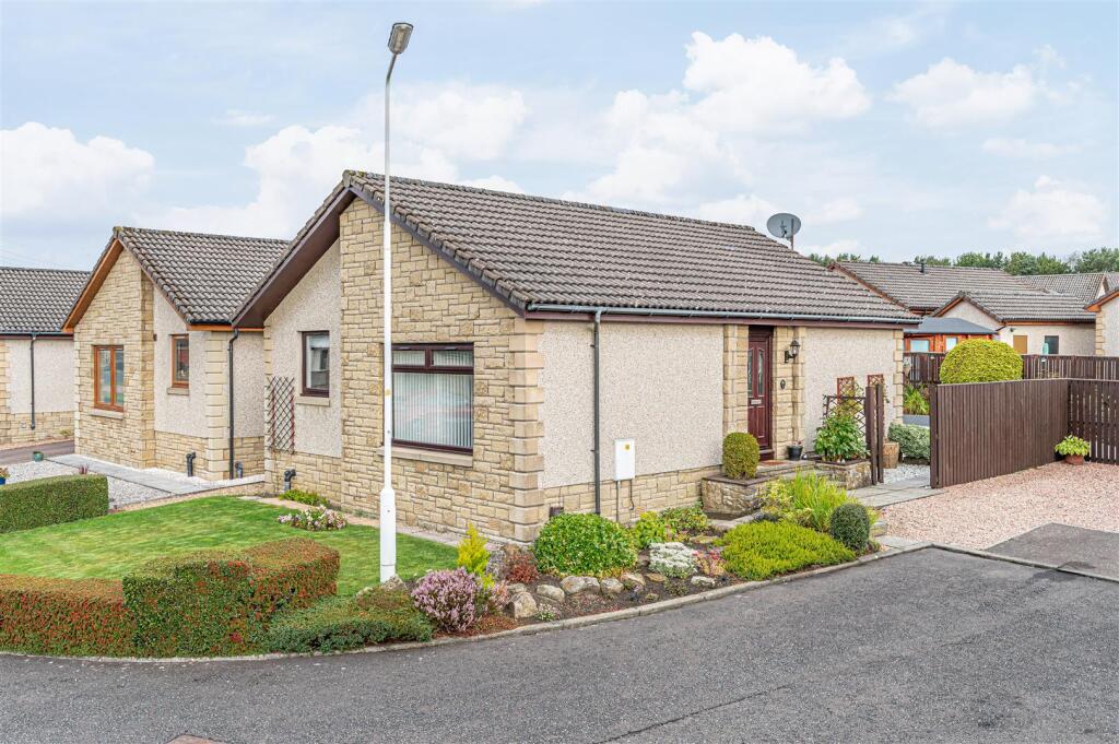 untitled (2 of 1).JPG