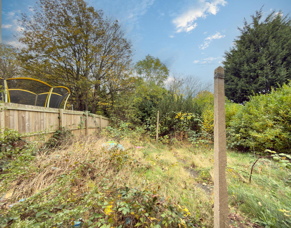 IMG 7047 4 T202511050959.jpg