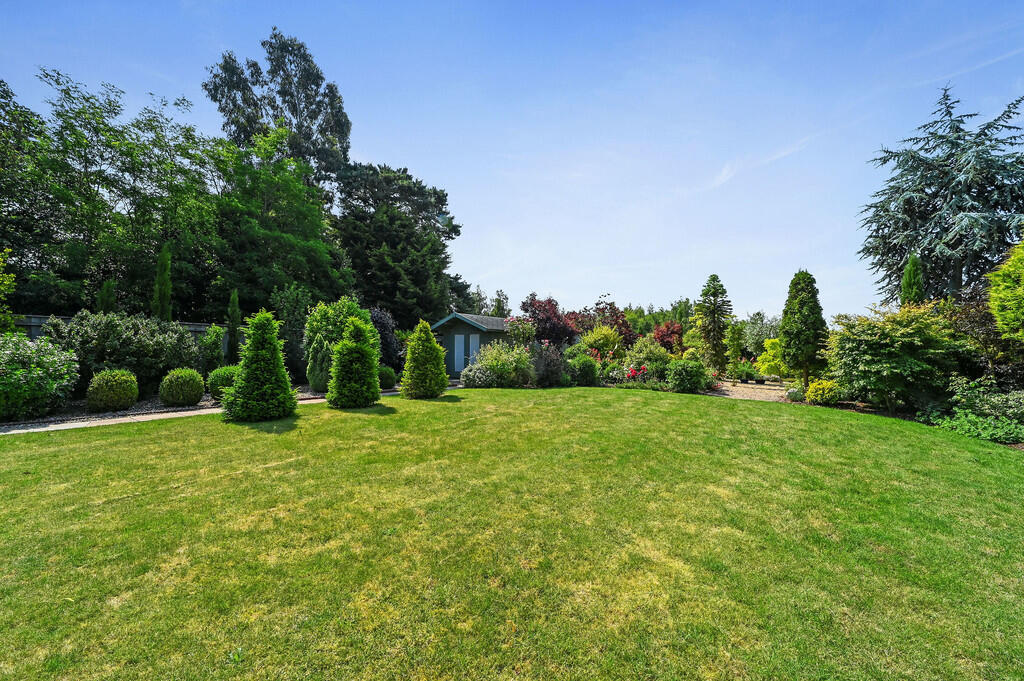 PT-DB(WP)-Brindle...