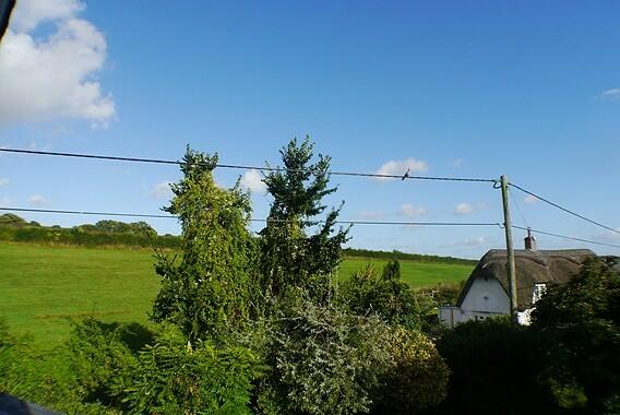 View From Bedroom 1