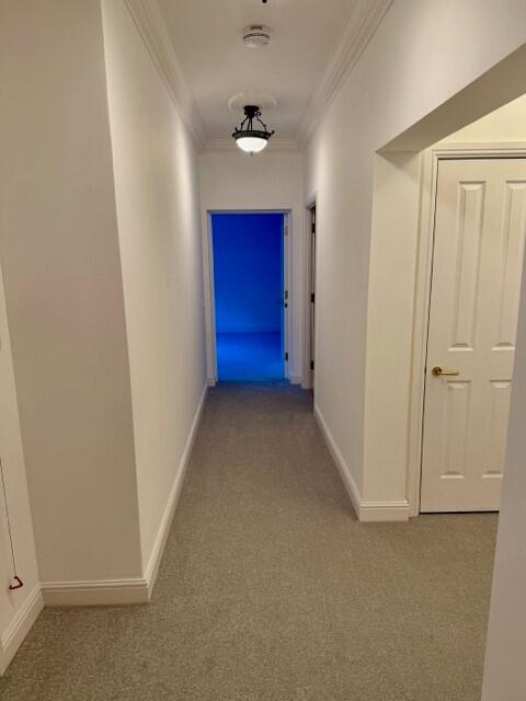Flat 21