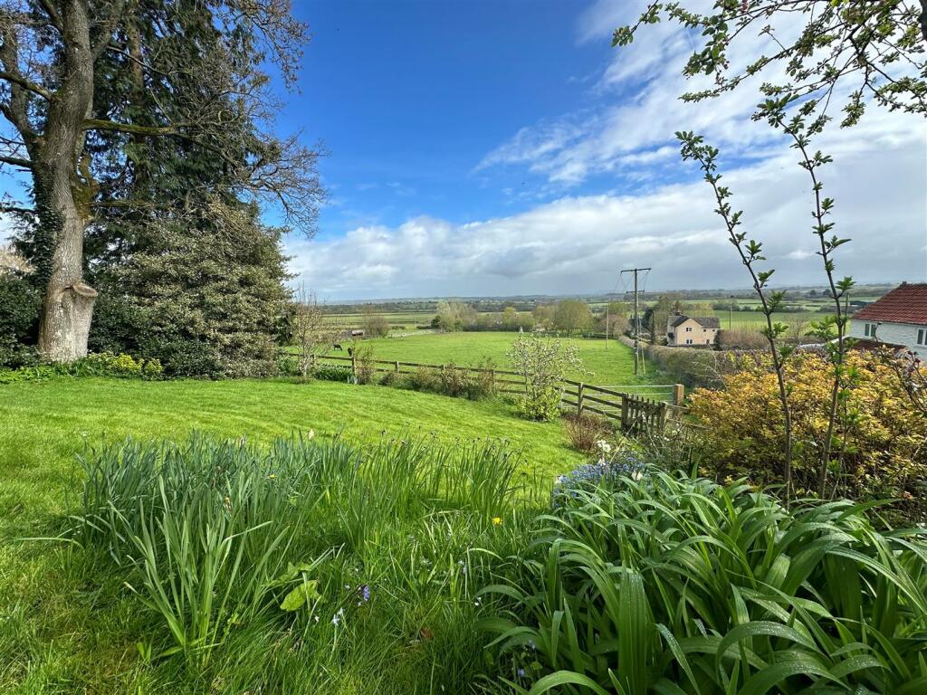 Garden and View