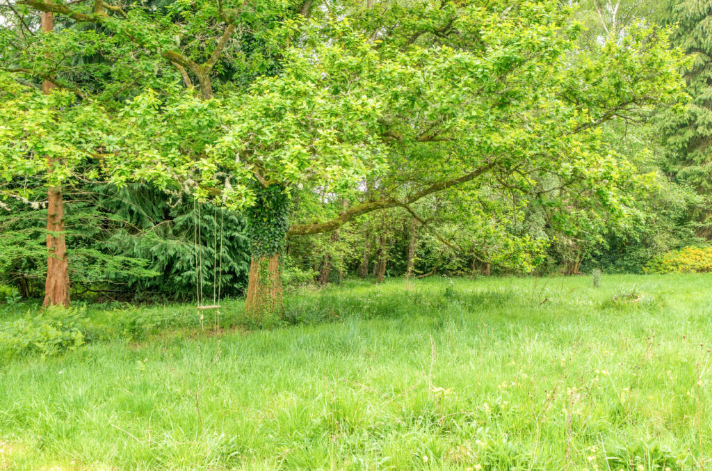 1295112-57-682641...