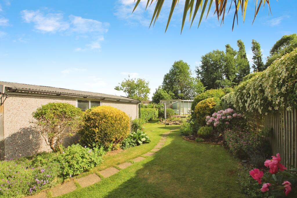 Back Garden