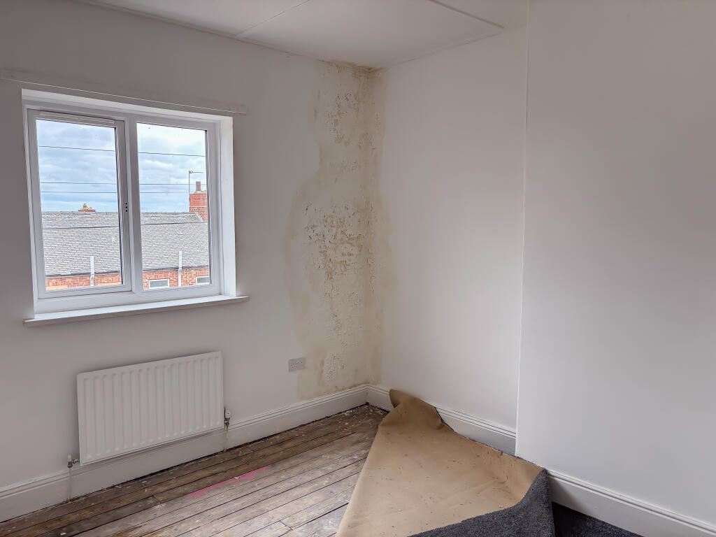 IMG 4132 T202507171616.jpg