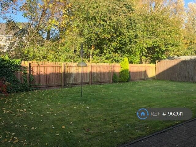 Back Garden