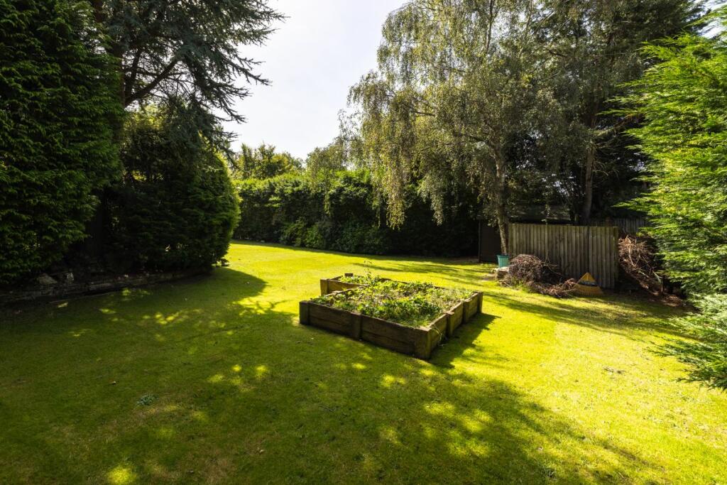 Vegetable patch