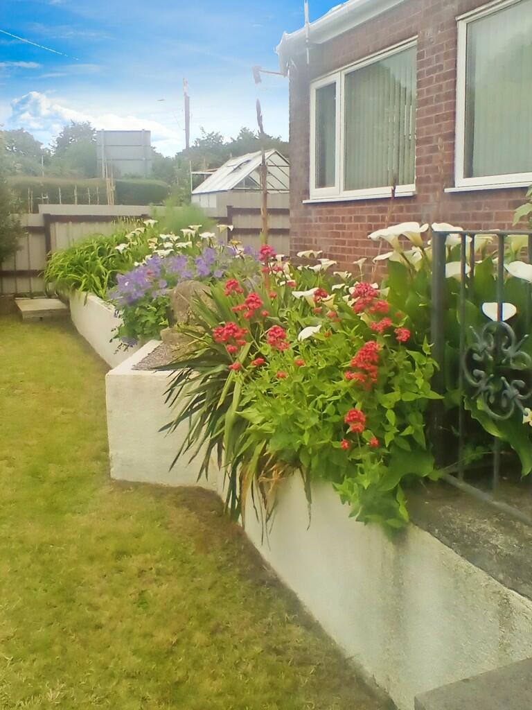 23284185-IMG_2024...