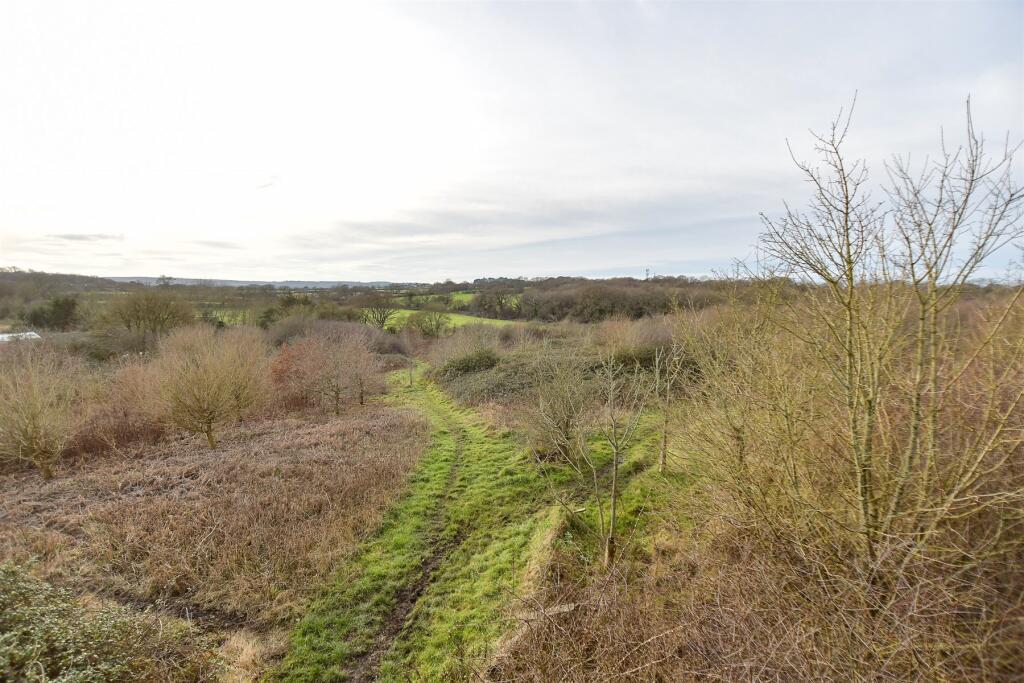 Surrounding Area