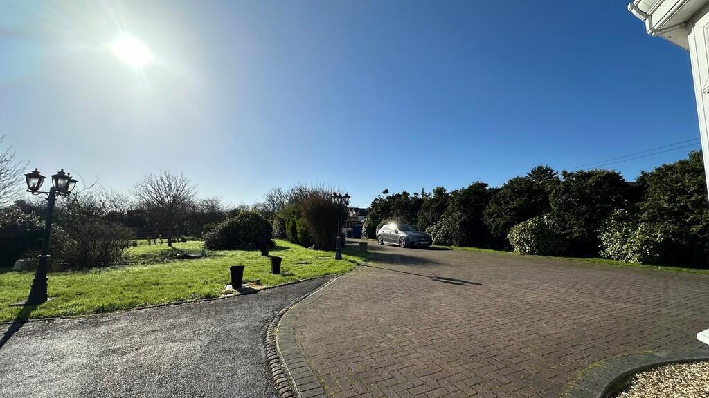 Sunny Driveway