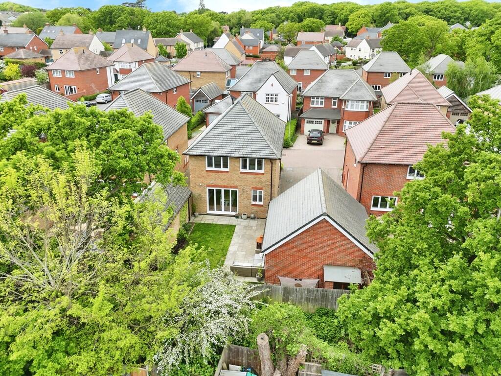 537e1693-02505061...