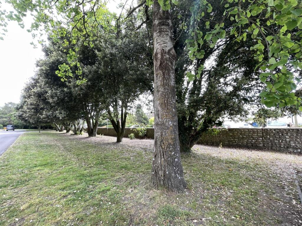 Communal Gardens