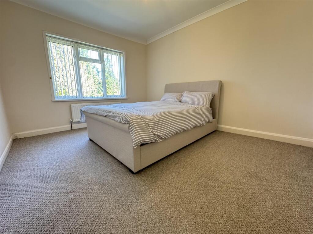 IMG_8719 (Large).JPG