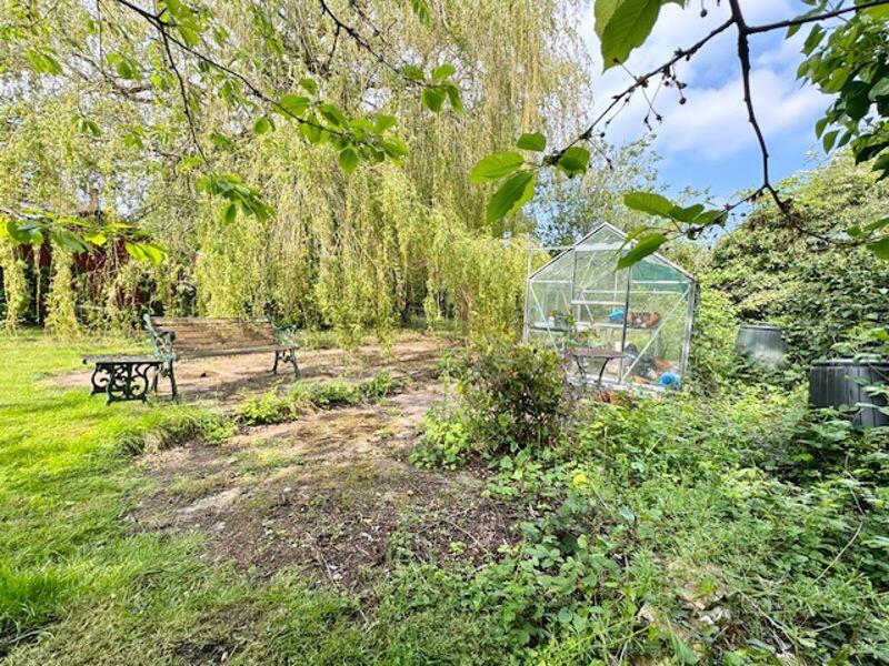 Green house and rear patio