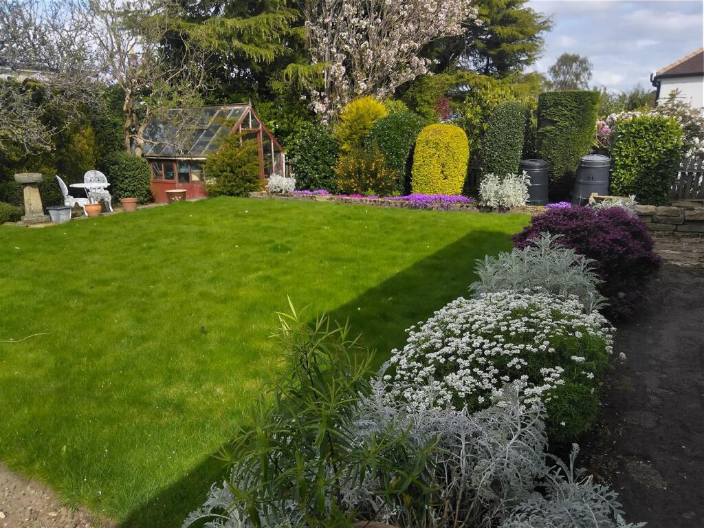 V garden image April 2025.jpg