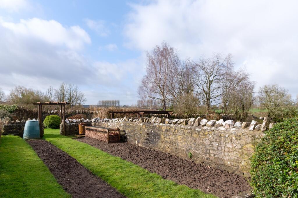 Vegetable garden