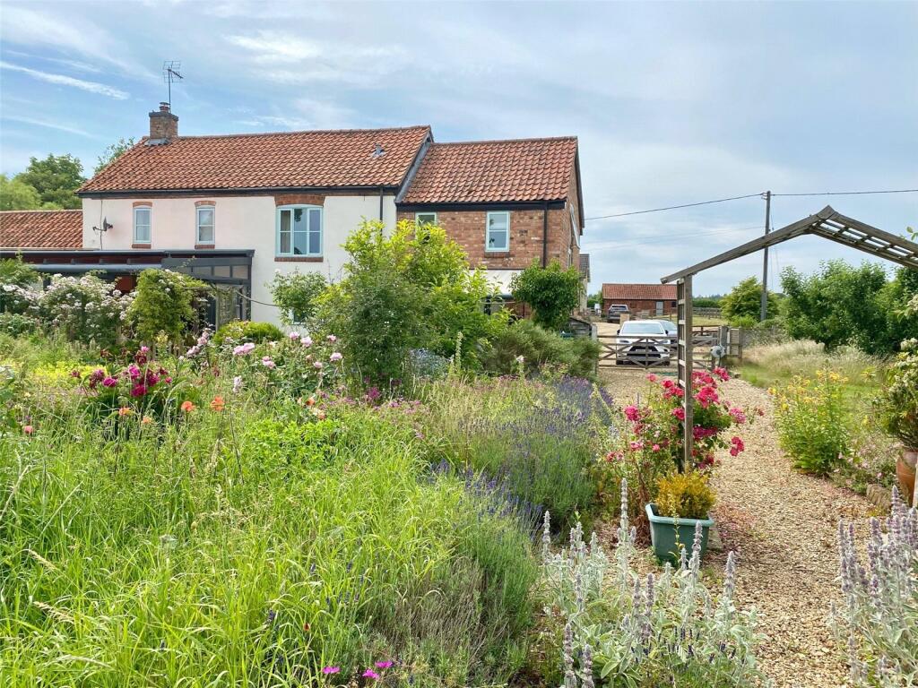 Cottage Garden
