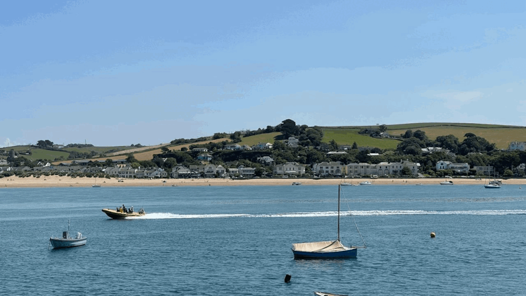 IMG_0319.GIF