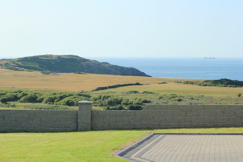 View from rear garden