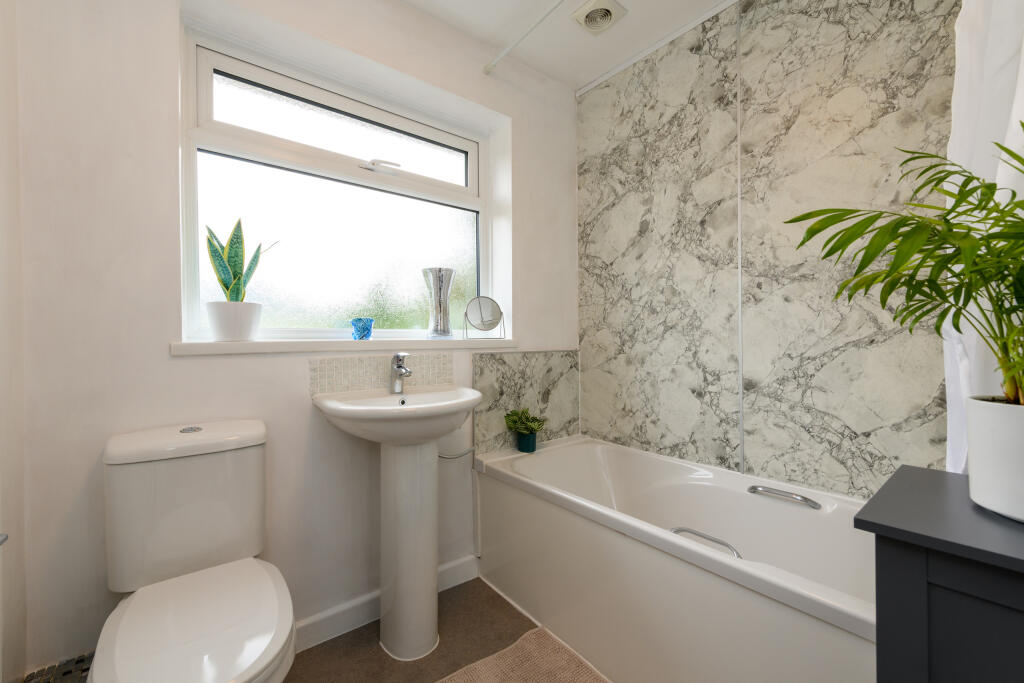 TEK HiRes 250324 061