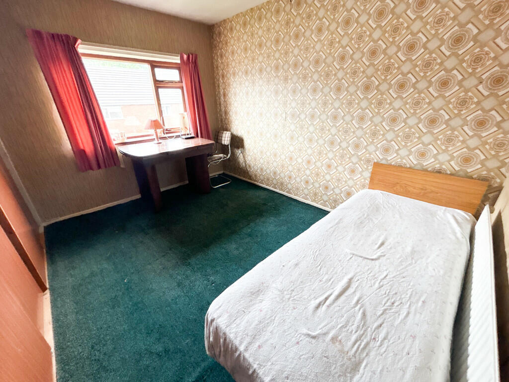 image_50404097 (1...