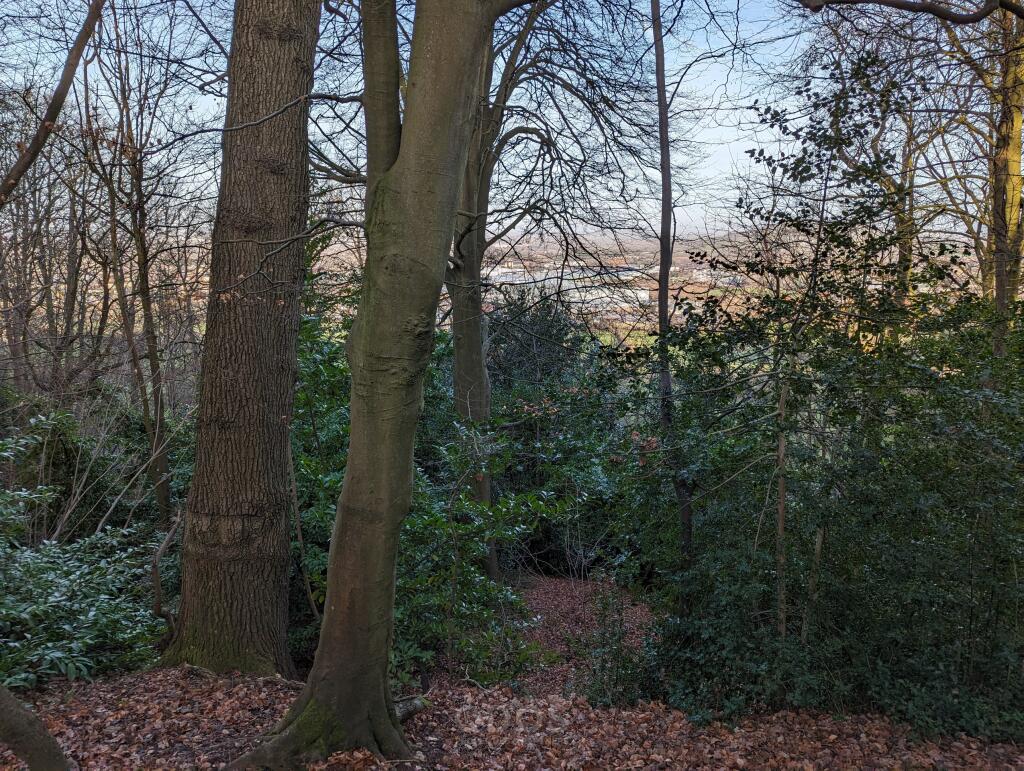 Grove Wood Painswick Road Brockworth GL3 4RU NB 24